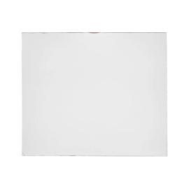 Пластина защитная поликарбонатная 133х114